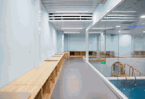 泡泡塘少兒游泳館加盟