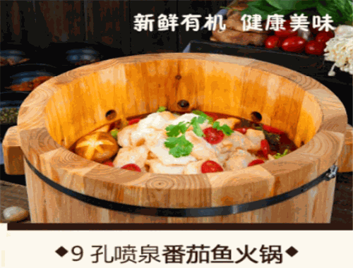 魚(yú)木奇緣加盟