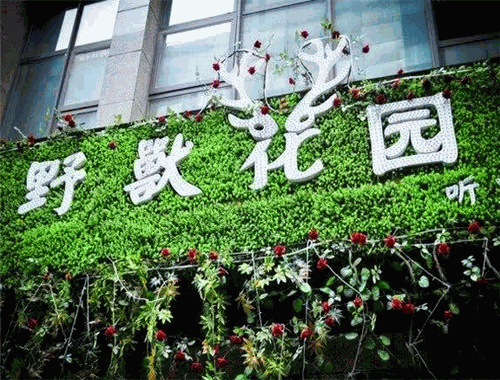 森林野獸花園火鍋加盟