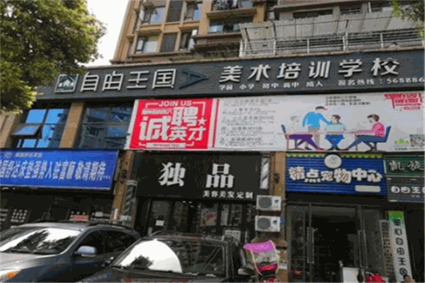 自由王國美術(shù)加盟