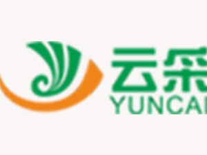 云采智能眼鏡加盟