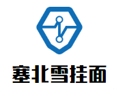 塞北雪掛面加盟