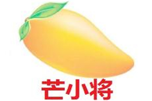 芒小將加盟