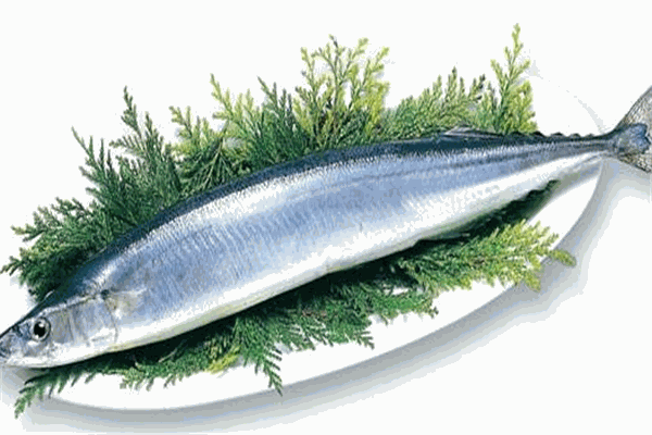 秋刀魚の味加盟