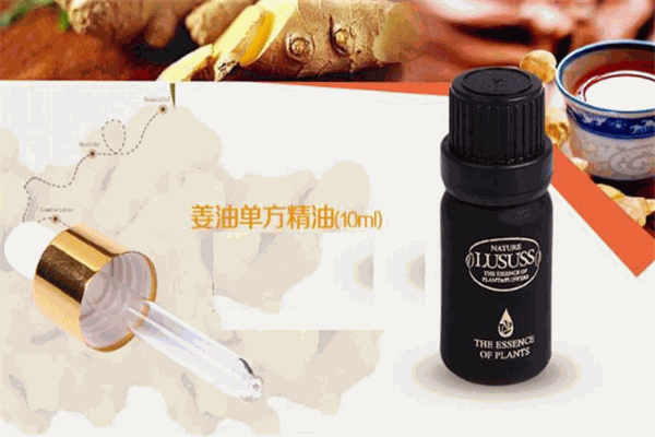 麗香坊精油美容坊加盟