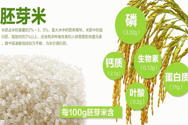 愛吖吖胚芽米加盟