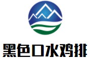 黑色口水雞排加盟