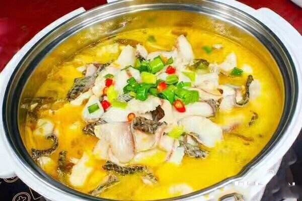 慶有魚斑魚火鍋HotPot加盟