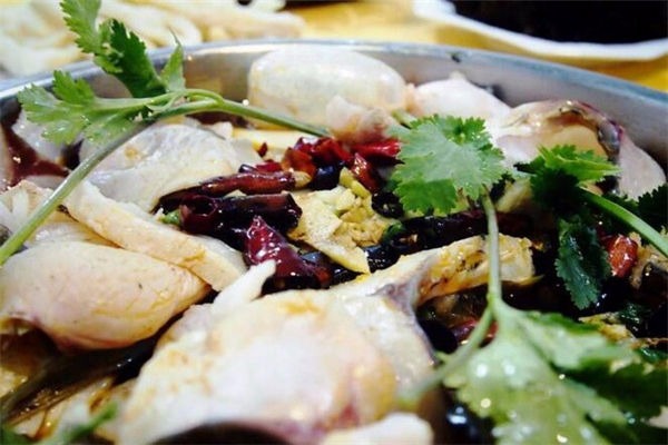 成都苗苗魚(yú)加盟