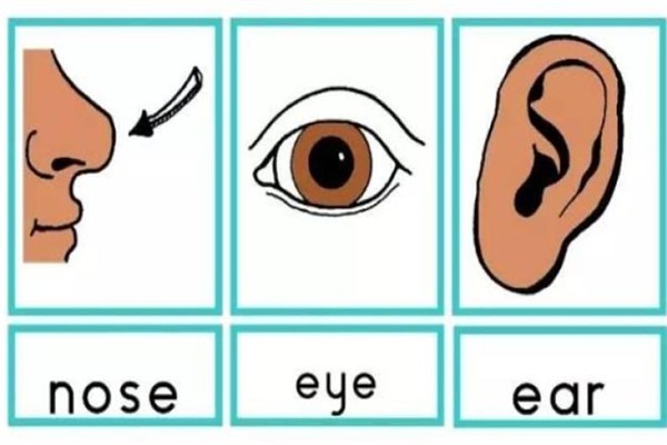 大耳朵英語(yǔ)加盟