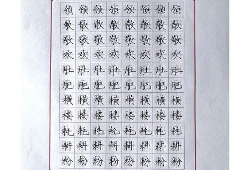 字匯人生正姿練字學(xué)堂加盟
