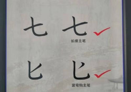 蝶形格練字加盟