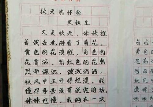 妙筆寫字加盟
