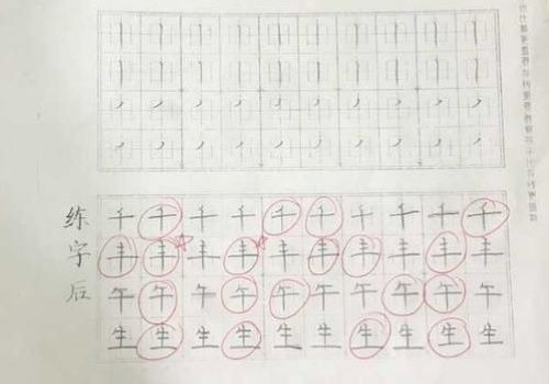 三天練字王加盟