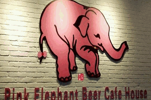 粉象啤酒屋加盟