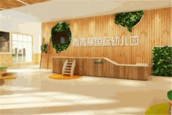 青青藤教育加盟
