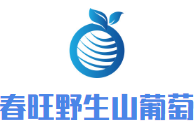 春旺野生山葡萄酒加盟