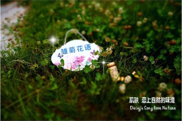 雛菊花語(yǔ)化妝品加盟