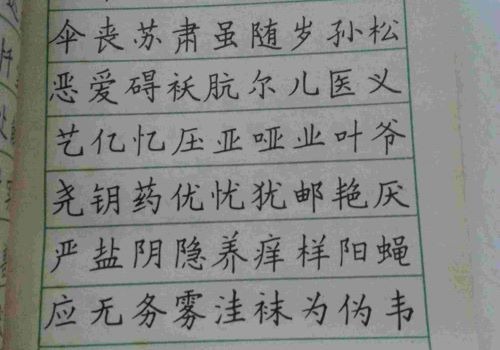 字立方教育加盟