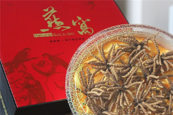 鑫燕國際加盟