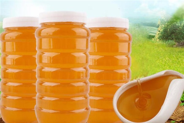 星蜂園蜂產(chǎn)品加盟