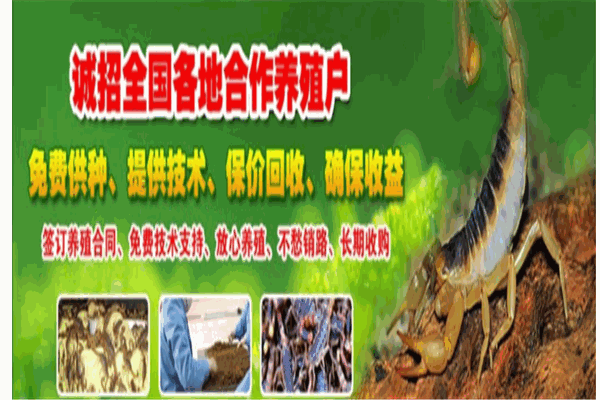 中農(nóng)益民Ⅱ號藥蝎加盟