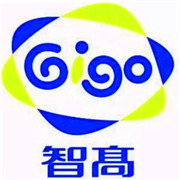 智高科學(xué)大衛(wèi)營兒童教育加盟