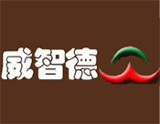 威智德玩具加盟