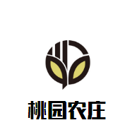 桃園農(nóng)莊燒烤加盟