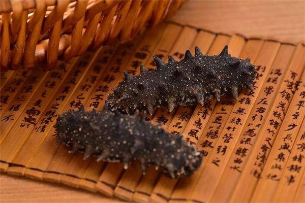棒棰島海參加盟