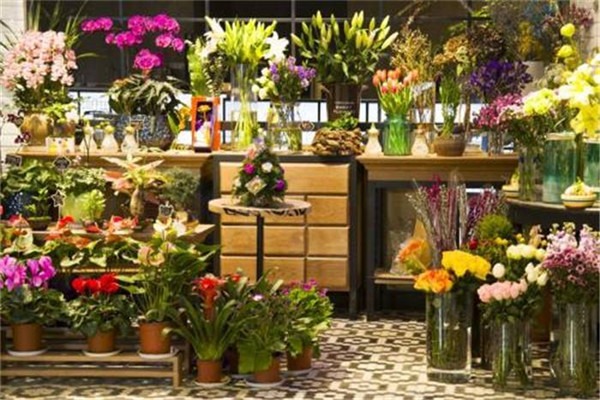 鮮花店特許經(jīng)營全國加盟