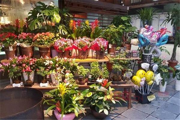 鮮花店特許經(jīng)營全國加盟