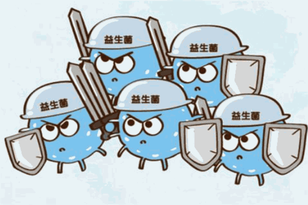 好哺博士益生菌保健品加盟
