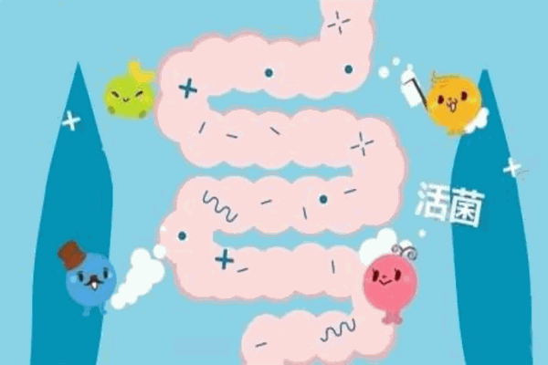 好哺博士益生菌保健品加盟