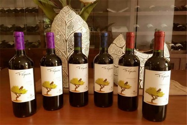 卡維納葡萄酒加盟