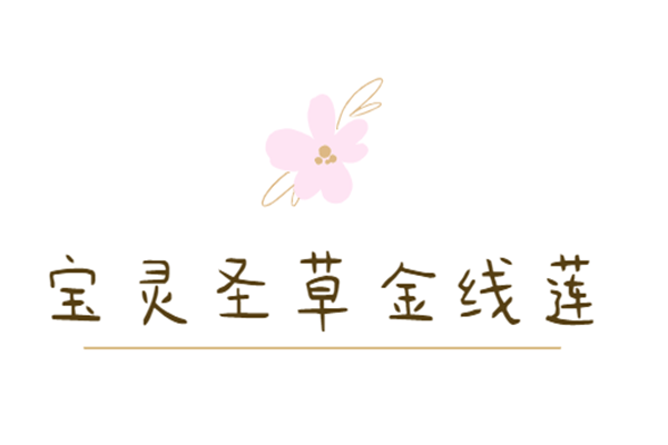 寶靈圣草金線蓮加盟