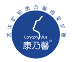 康乃馨產(chǎn)后恢復(fù)中心加盟