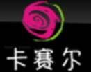 卡賽爾少兒教育加盟