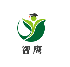 智鷹兒童玩具加盟