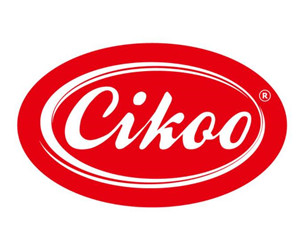 cikoo兒童玩具加盟
