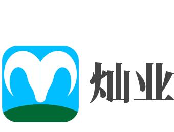 燦業(yè)玩具加盟