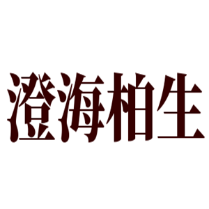 澄海柏生玩具加盟