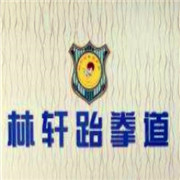 林軒跆拳道培訓(xùn)中心加盟