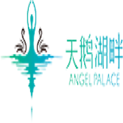 天鵝湖畔少兒舞蹈培訓(xùn)加盟