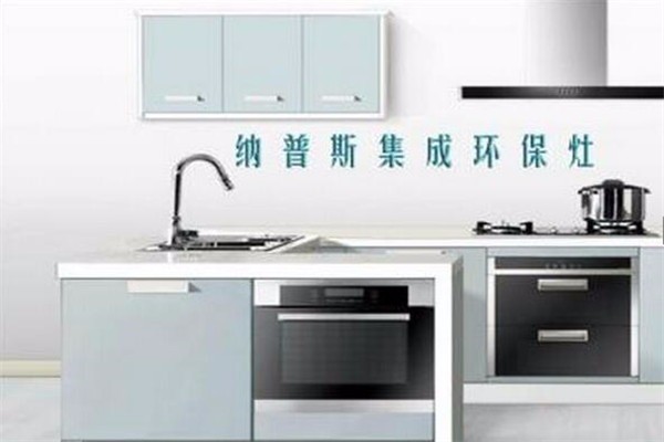 納普斯環(huán)保吸油煙機加盟