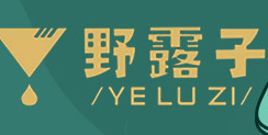 野露子潮流飲品加盟
