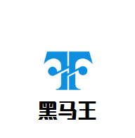 黑馬王潤(rùn)滑油加盟