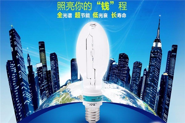 雷明XED燈加盟