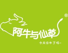 阿牛與仙草飲品加盟