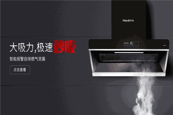 好迪廚衛(wèi)電器加盟